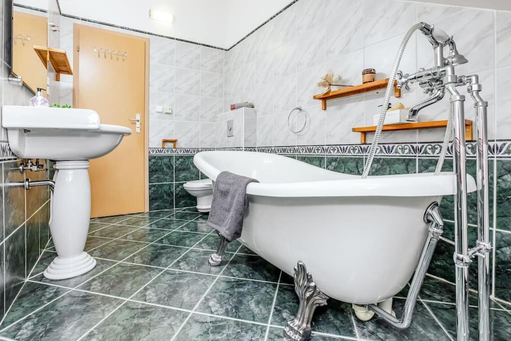 Utulny A Prostorny Podkrovni Byt S Krbovymi Kamny Ceske Budejovice Ngoại thất bức ảnh